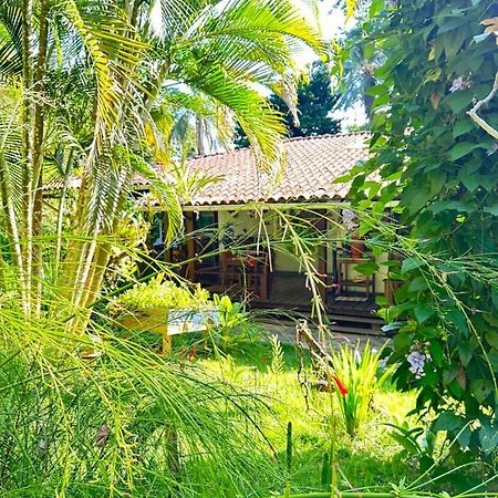 Pousada Horizonte Azul Velha Boipeba エクステリア 写真
