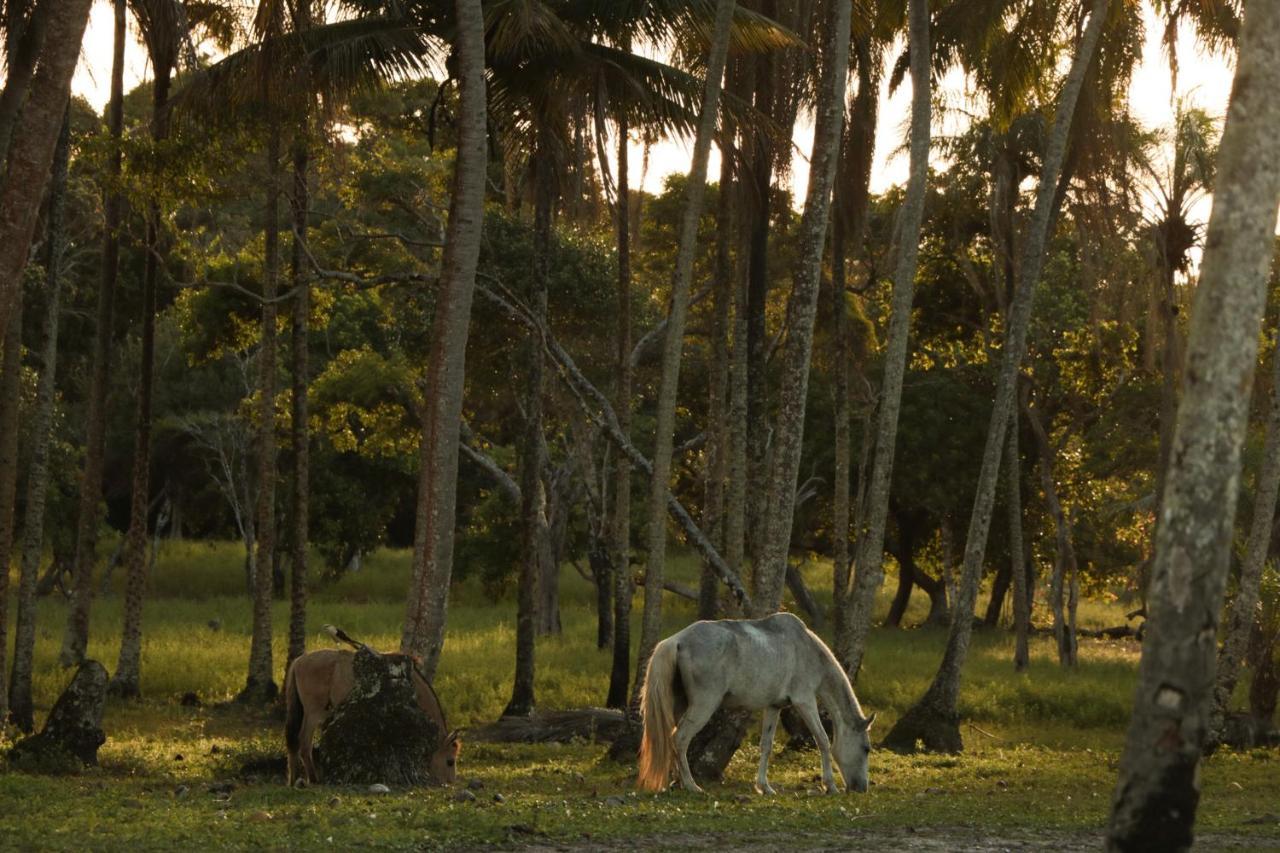 Pousada Horizonte Azul Velha Boipeba エクステリア 写真