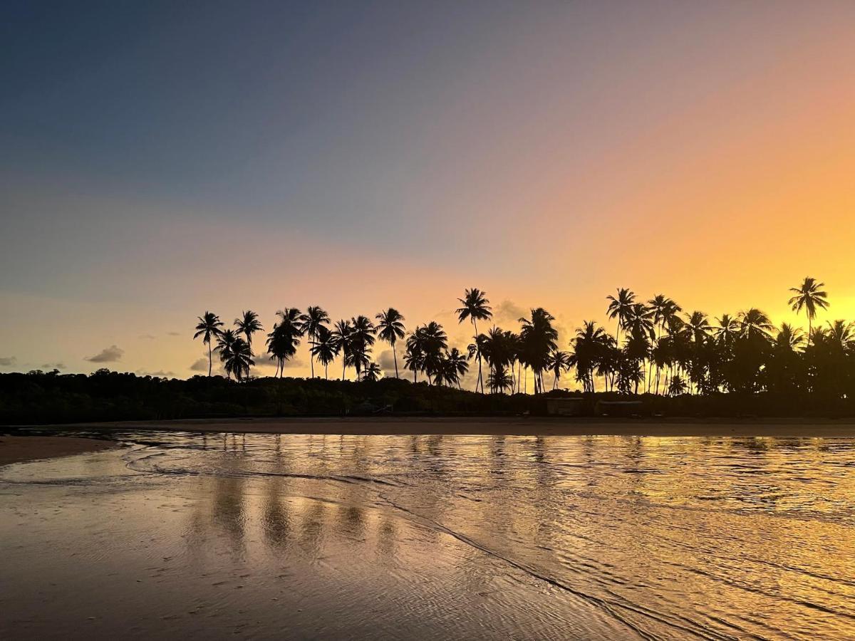 ホテル Pousada Horizonte Azul Velha Boipeba エクステリア 写真