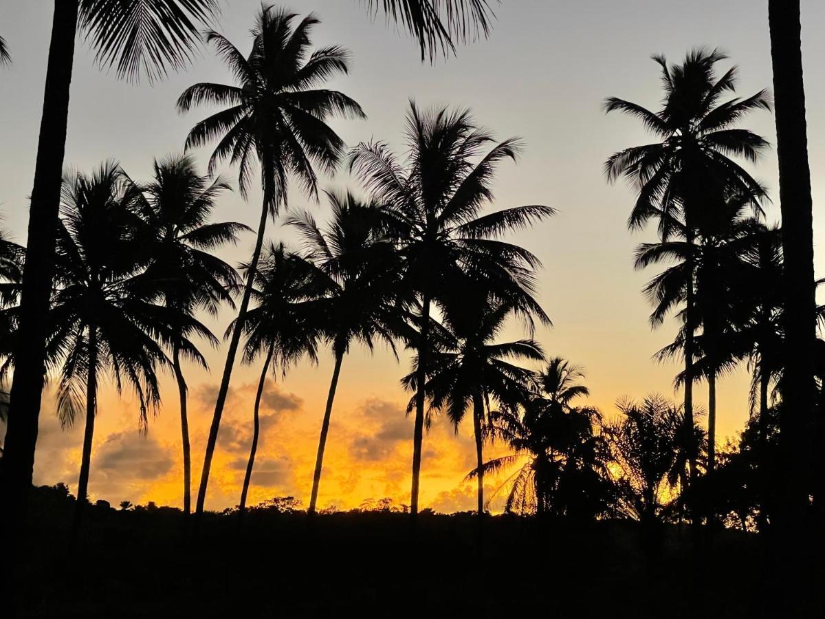 Pousada Horizonte Azul Velha Boipeba エクステリア 写真